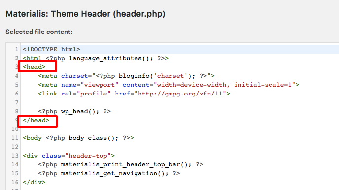  <head> element in het header.php bestand